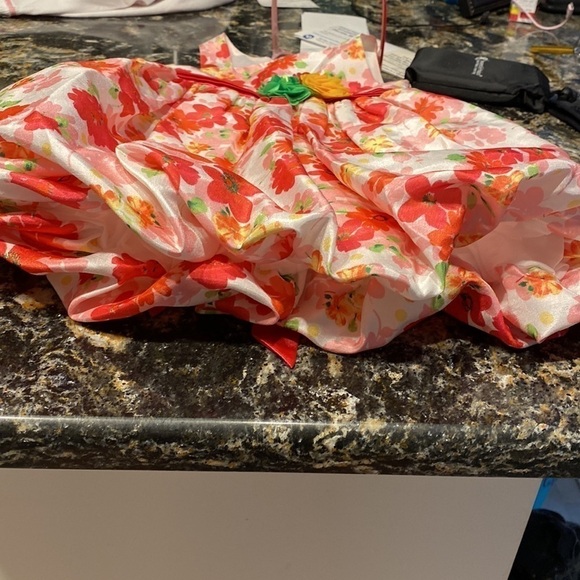 N toddler Nannette sleeveless floral lined bubble hem dress size 4. EUC - Picture 4 of 4